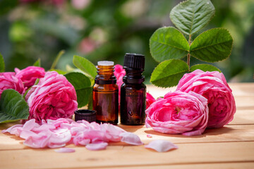 Fototapeta na wymiar rose flower and essential oil. Spa and aromatherapy.