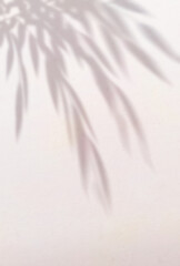 背景イラスト_木漏れ日