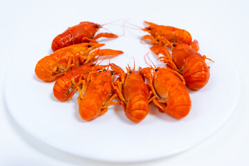 Group of boiled river red crayfish are laid out on a plate. White background.