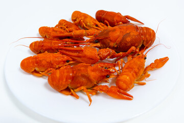 Group of boiled river red crayfish are laid out on a plate. White background.