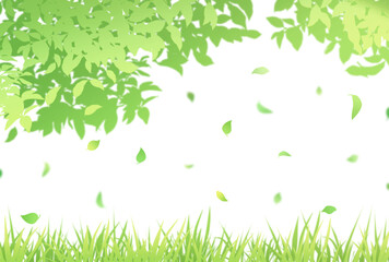 背景素材_落ち葉_白背景