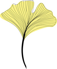 yellow fresh leaf of ginkgo biloba line drawing sketch, outline autumn branch of ginkgo line art