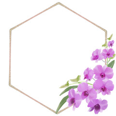 frame of orchid flowers