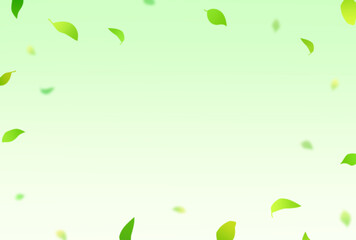 背景素材_落ち葉_緑