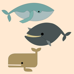 Whales Design