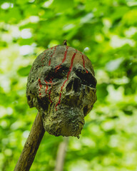 Skulls impaled in a deserted forest.