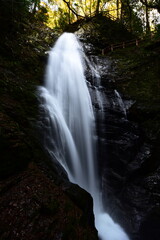 Naklejka premium 蜻蛉の滝