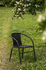 Wicker rattan black chair stands in green summer garden under flowering jasmine bush. Garden furniture. Country style