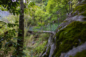 Breathtaking suspension bridge gracefully spans a deep gorge amidst the lush forests of Taroko...