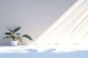 An original light background image with a slight shadow of a plant for the presentation of various products or goods, Generative AI