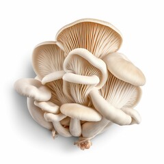 AI generated illustration of a cluster of white mushrooms on a white background