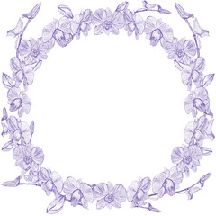frame with orchid flowers