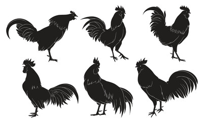 Set of Rooster silhouette. Vector illustration