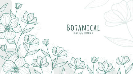 Botanical Line Art Background, Botanical Background, Leaves and Flower Background