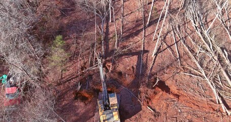  Removal stump roots from trees which were cut down to clear land for home construction was done with tractor backhoe.