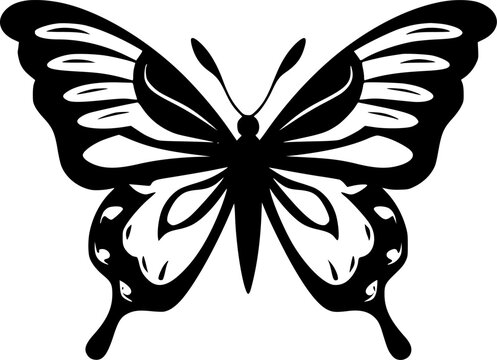 Butterfly | Black and White Vector illustration