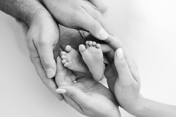 The palms of the father, the mother are holding the foot of the newborn baby on white background. 