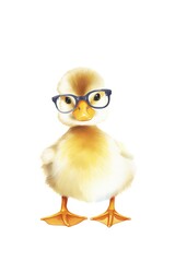 a duck wearing glasses