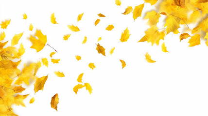 flying autumn leaves on a white background.