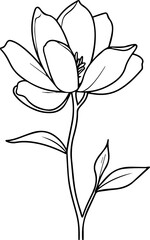 Obraz premium flower minimal style 