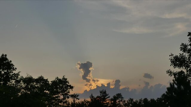 Cloudscape with increasing and decreasing Cumulus clouds on evening highlighted sky by the setting sun. Evening view with sky, clouds sunrays and dark trees at dusk - time lapse, zoom in and zoom out.