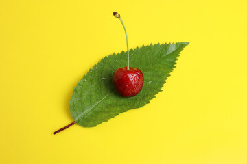 Ripe cherry berry on a green leaf with water droplets on a yellow background