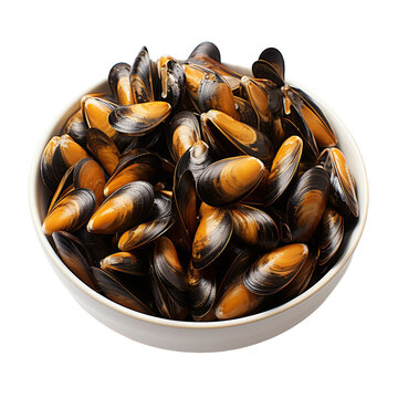 mussels on a white background HD transparent background PNG Stock Photographic Image