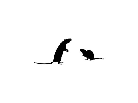 Rat and mouse silhouette vector. Black silhouettes of mouse in various poses. Mouse silhouette collection isolated white background.
