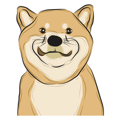 shiba inu dog