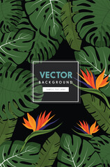Vector Illustration: Nature Background Templates with Dark, Colorful Flowers, Leaves, and Ornaments