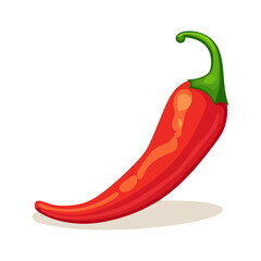 Chili pepper image. Cute image of an isolated red chili. Vector illustration