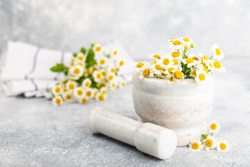 Chamomile flowers in mortar on a textured wooden table. Healing herbs. Alternative medicine. Healing. Homeopathy.Natural herbal organic cosmetics concept.Natural tea.Place for text. Copy space. 