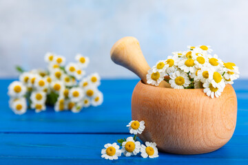 Obraz na płótnie Canvas Chamomile flowers in mortar on a textured wooden table. Healing herbs. Alternative medicine. Healing. Homeopathy.Natural herbal organic cosmetics concept.Natural tea.Place for text. Copy space. 