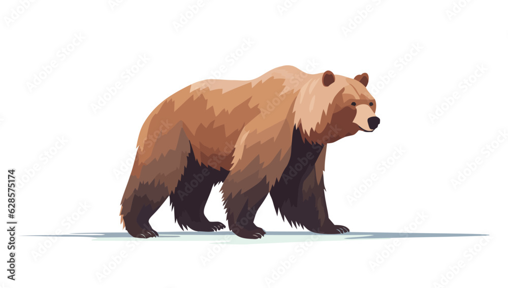 Wall mural grizzly bear. image of a cute walking grizzly bear isolated on white.