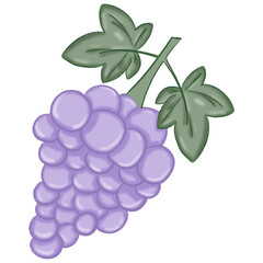 cute grape doodle style