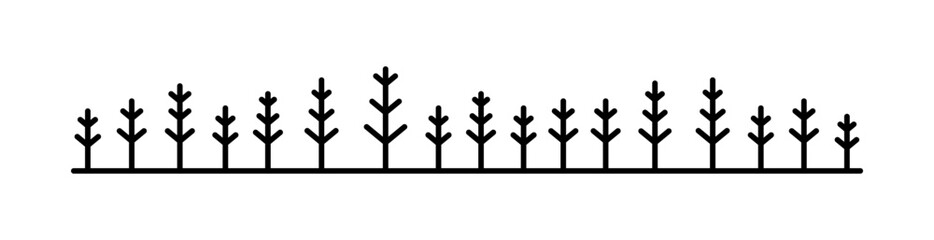 Winter forest background