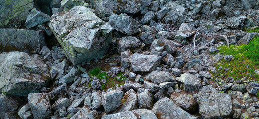 Rocky Boulder Field in the Canadian Mountain Landscape. Aerial Nature Background.
