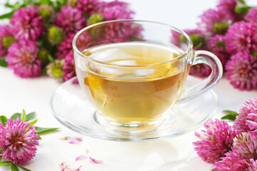 Red clover tea or infusion in glass bottle on white background with flowers, closeup, remedy for menopause, source of estrogen, used in cosmetics, spa, face and hair beauty