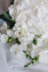 Naklejka na ściany i meble Beautiful white Freesia and Hydrangea flowers on a white background in a morning sunlight.