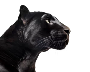 Fotobehang black panther head portrait side profile view on isolated background © FP Creative Stock