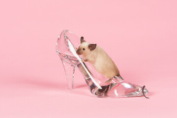 Cute little mouse on a glass slipper on a pink background