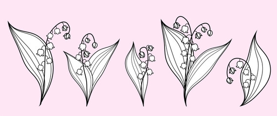 Set of lily of the valley flowers and leaves on an isolated background. Trendy hand-drawn botanical elements. elegant vector greenery, wildflowers for save the date invitation, card, design, print.