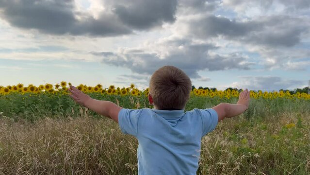 Boy pulls hands to the sky against a blue sky. child concept happy family. kid son hands to the side against the blue sky, lifestyle