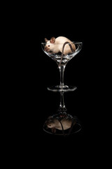 Cute little mouse in a wine glass on a black background