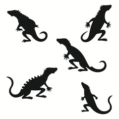 Gecko silhouettes and icons. Black flat color simple elegant Gecko animal vector and illustration.	
