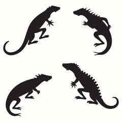 Gecko silhouettes and icons. Black flat color simple elegant Gecko animal vector and illustration.	