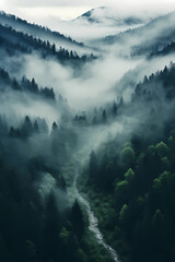 Fog over the mountains with forest
