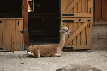 Columbia' Zoo © Esteban