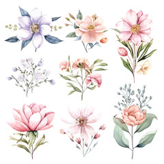 Whimsical Floral Watercolors: Fairy Arrangements on White Background
