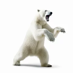 Poster Polar bear dancing happily. White furry bear standing on hind legs. Playful arctic animal having fun, isolated on a white background © InputUX